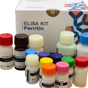 کیت ferritin
